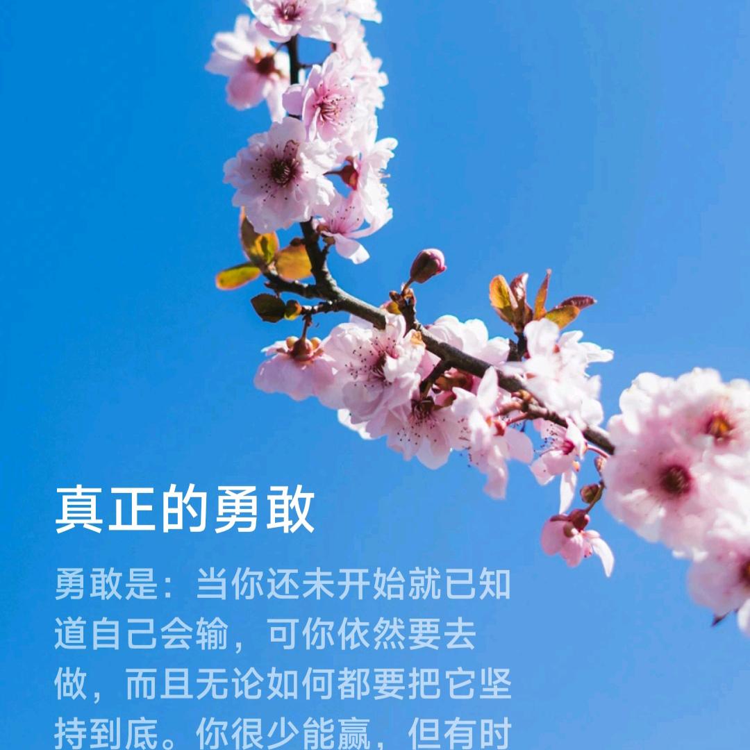 傲࿆雪࿆寒࿆梅࿆