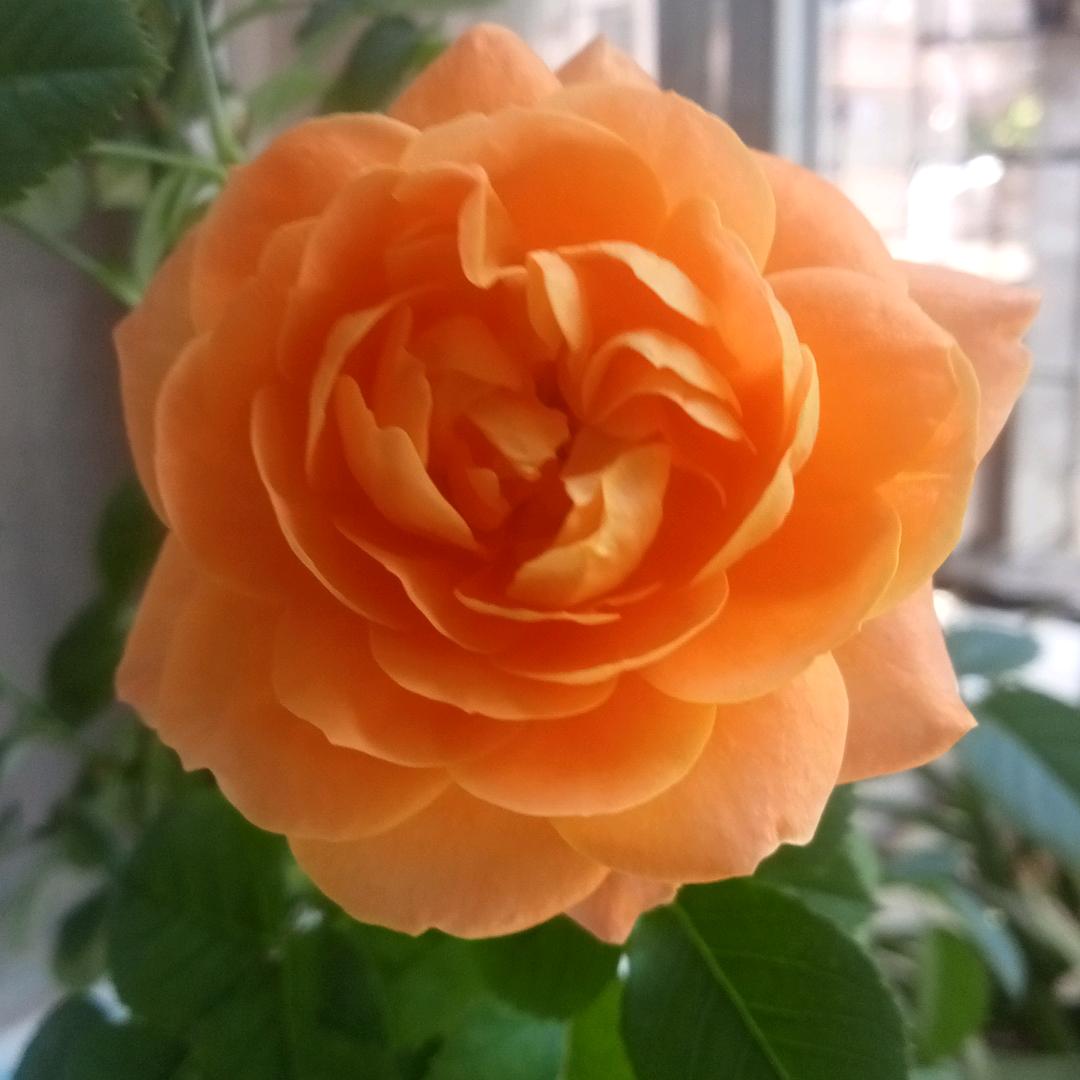 好仕达精装水电团，竭诚服务每一家