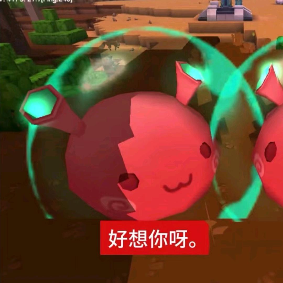 洲溪