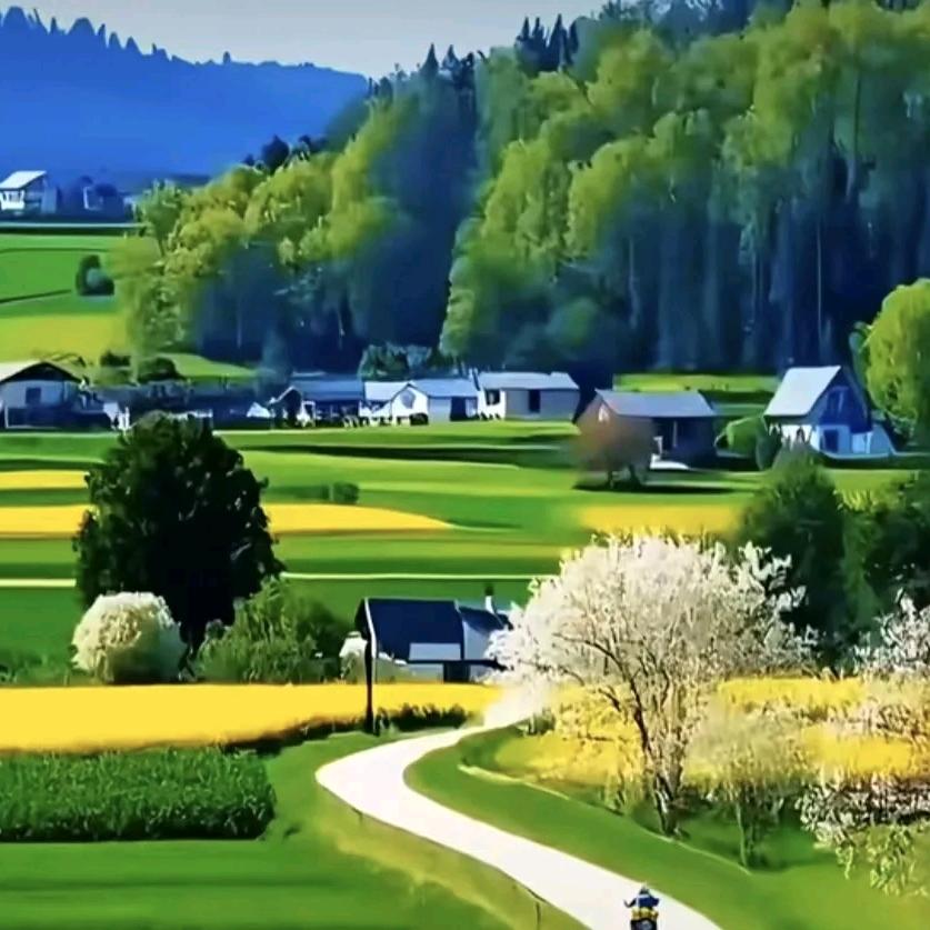 阳光明媚的一天