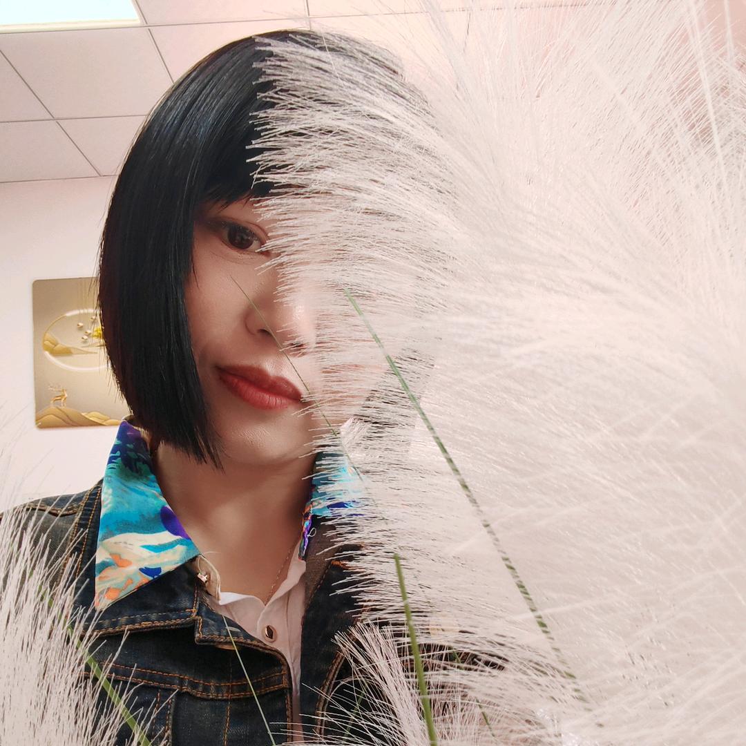木木燕