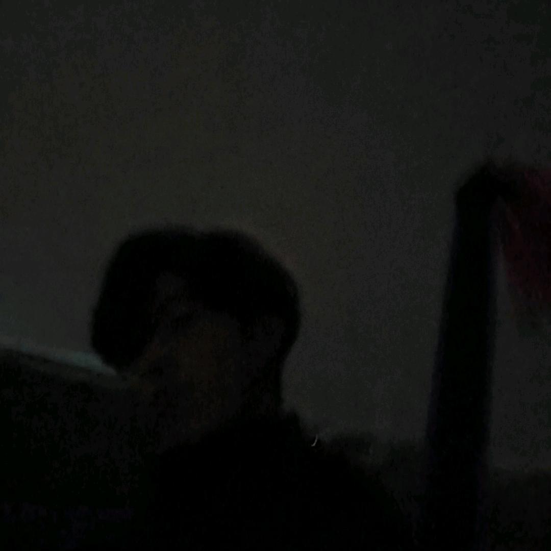 吞金兽