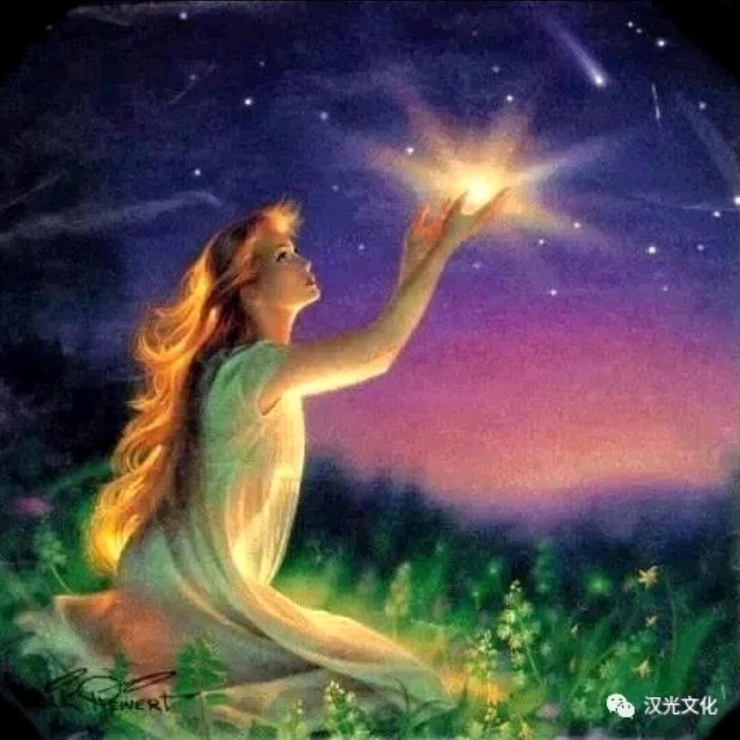 卢行琴195～17734335