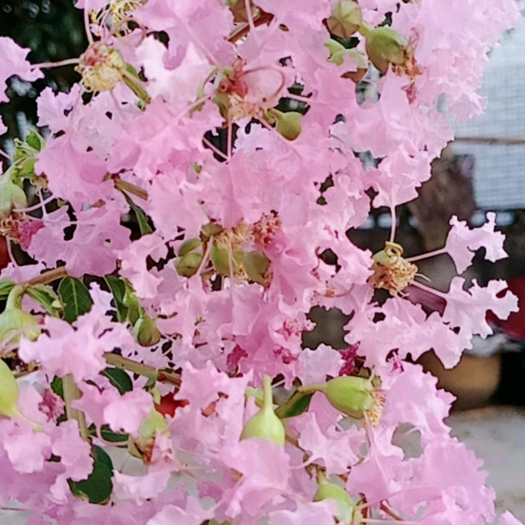 静静