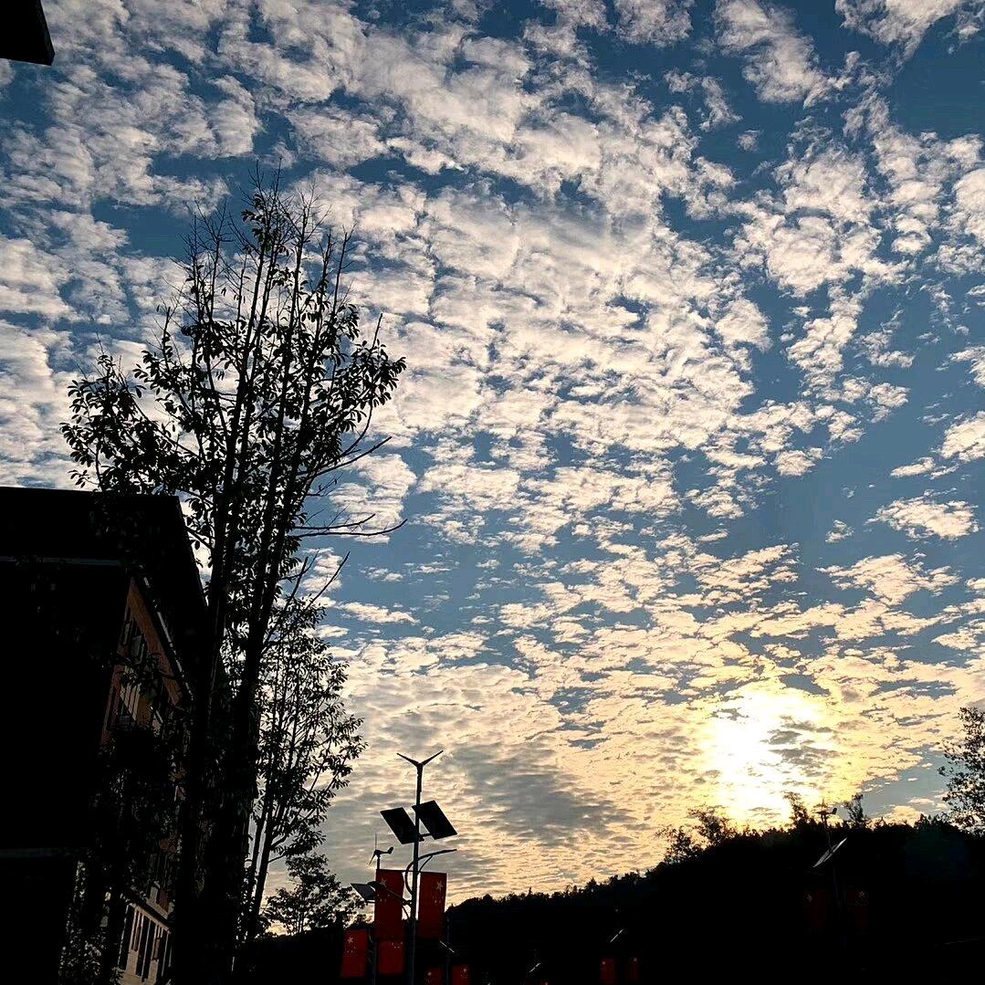 可乐故事
