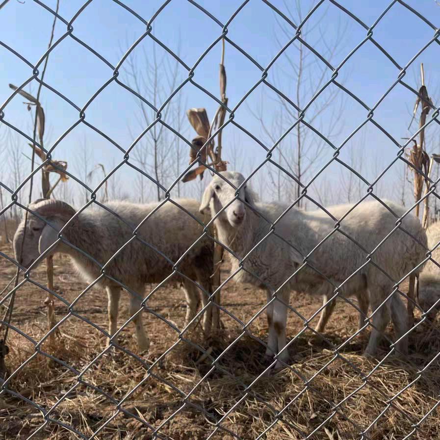 铭鑫丝网三角立柱