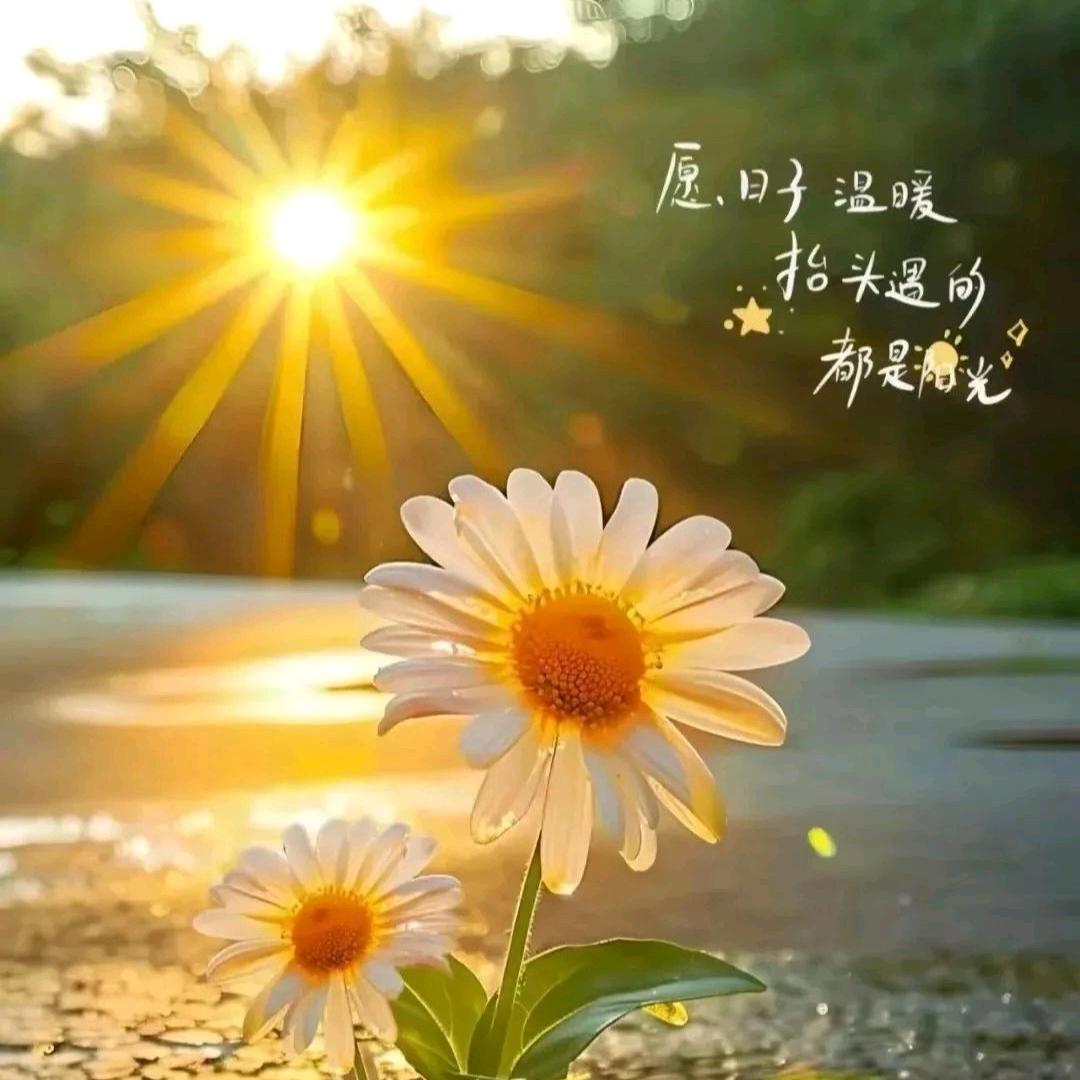 嘉奕嘉宝