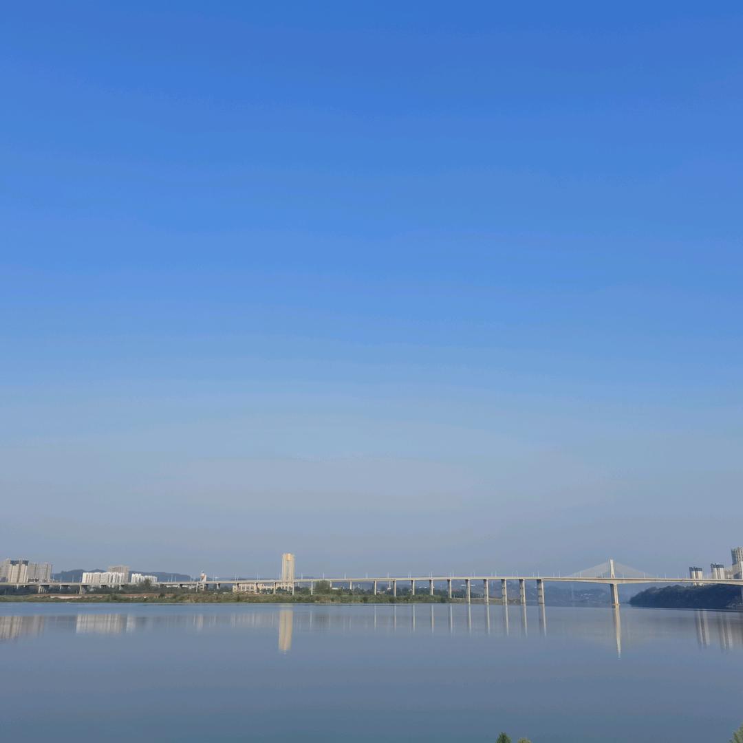 大  树