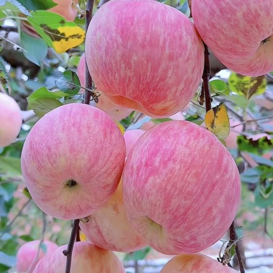 开心快乐每一天😊🥰