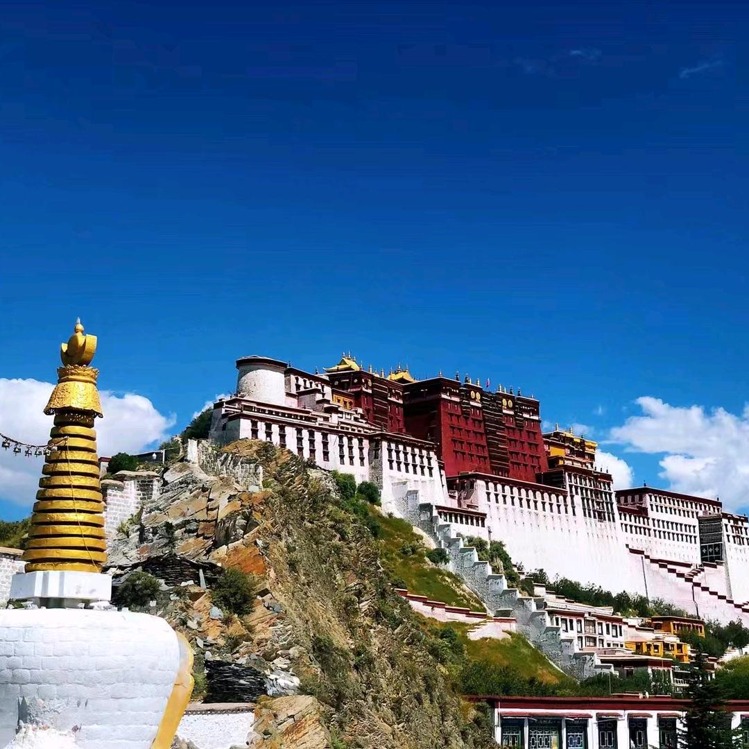 农寨土猪肉官方号