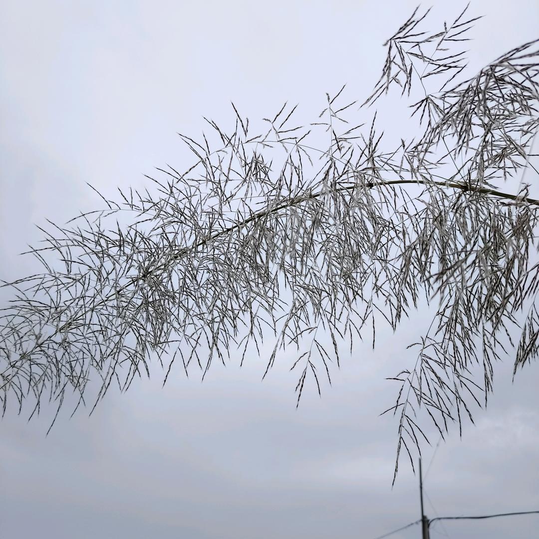 ♥湘西汉子♥