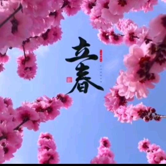 颖颖👄