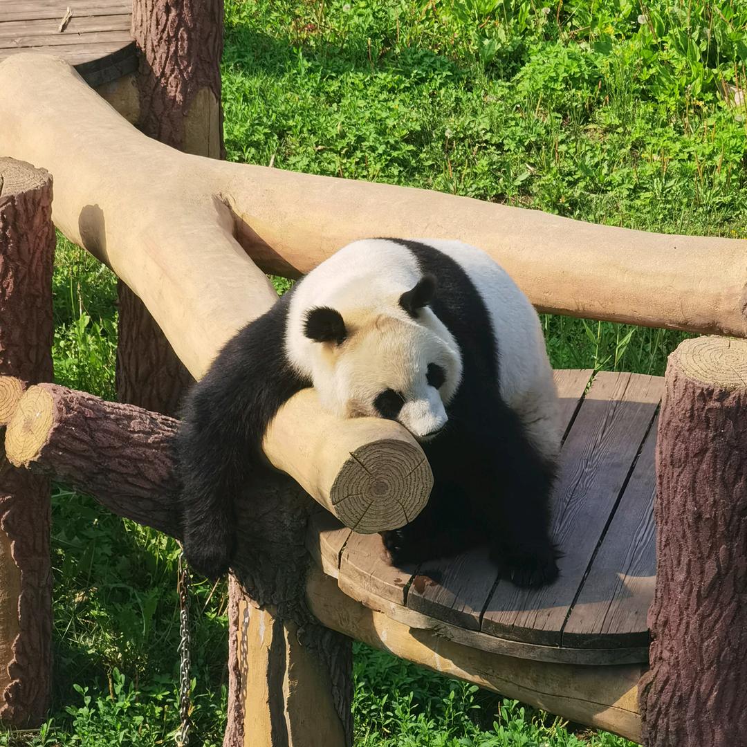 竹影清风