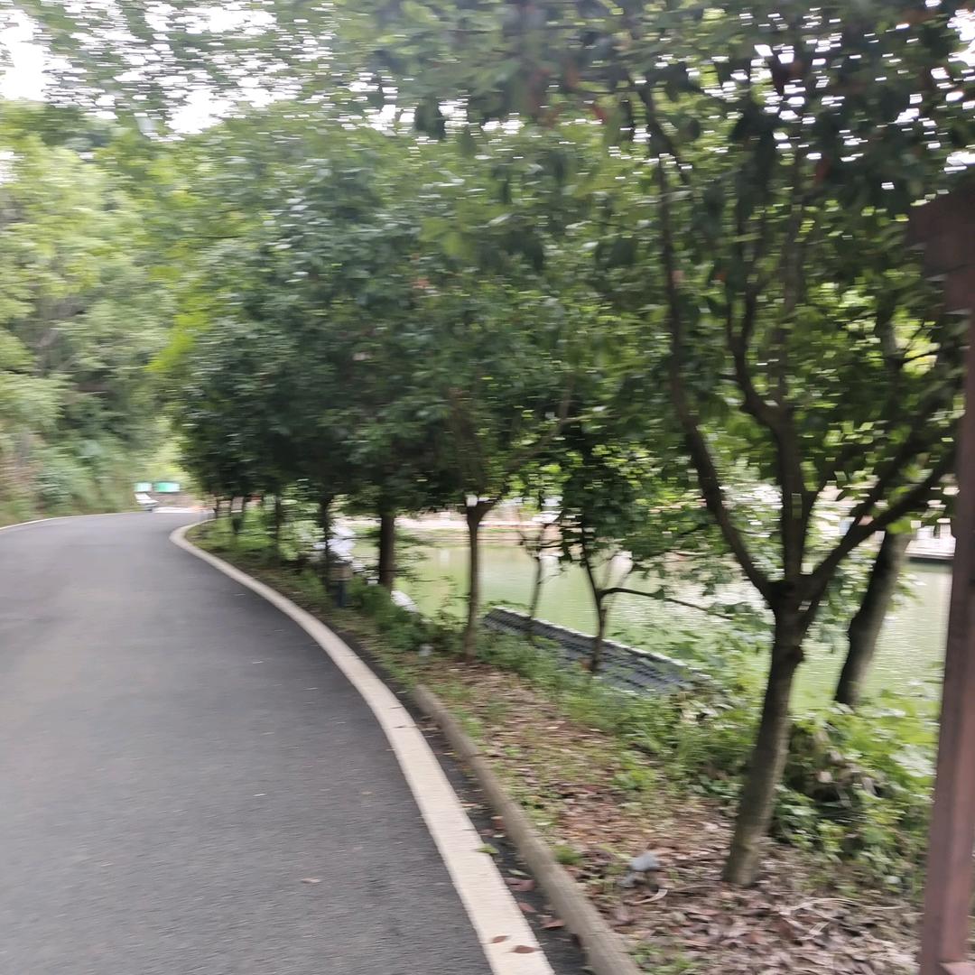 活出自己想要的样子😄