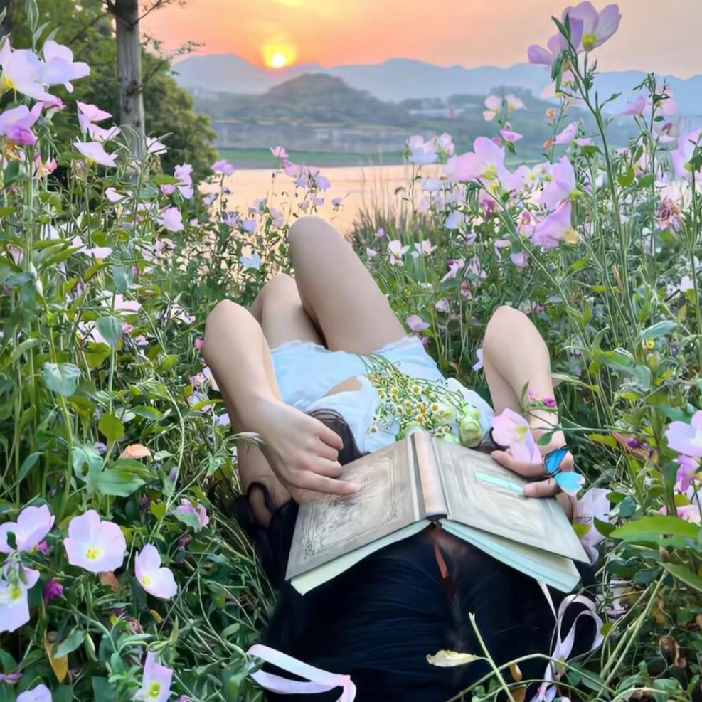 懒画眉 🐬