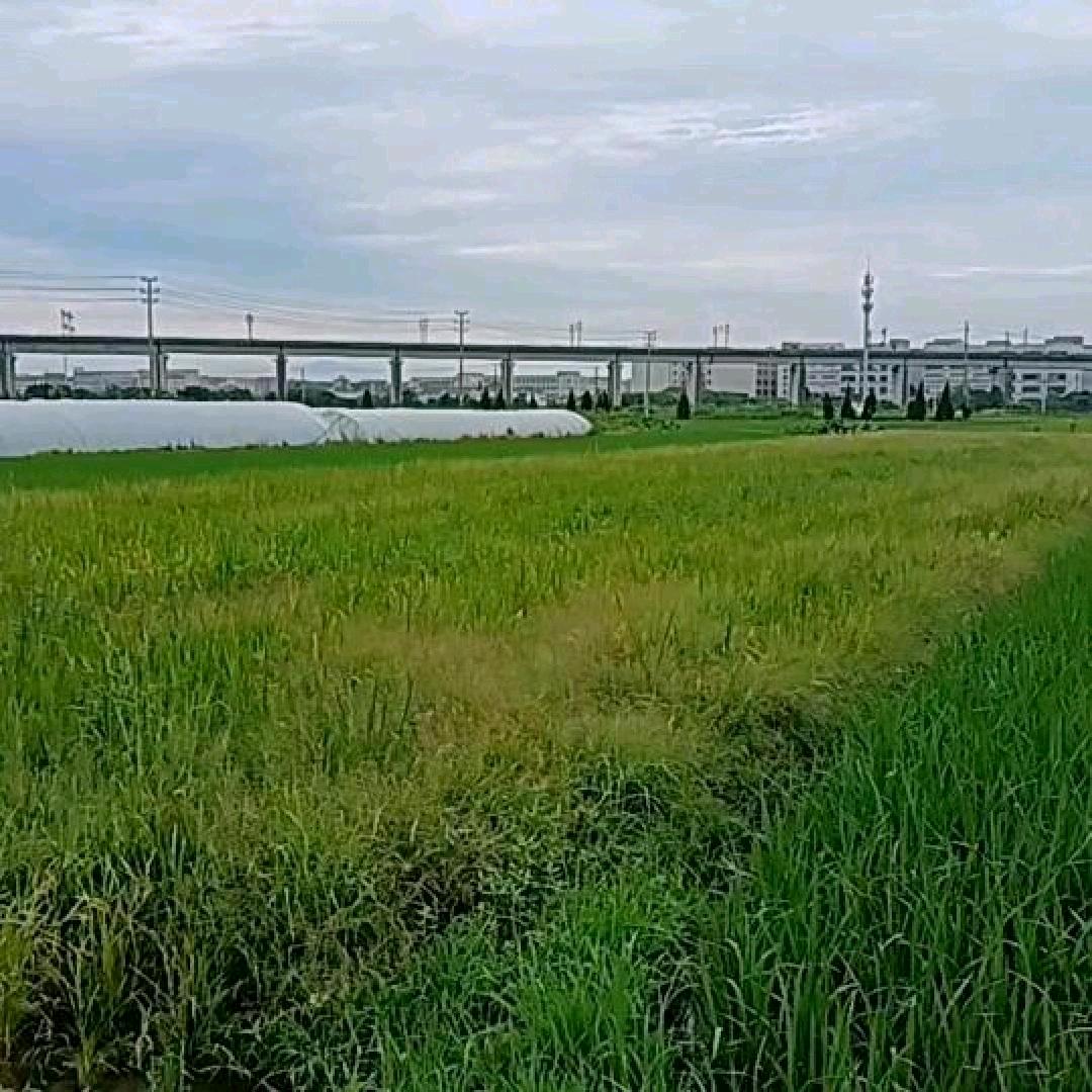 嫣然一笑。