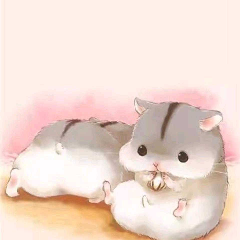 九心💔