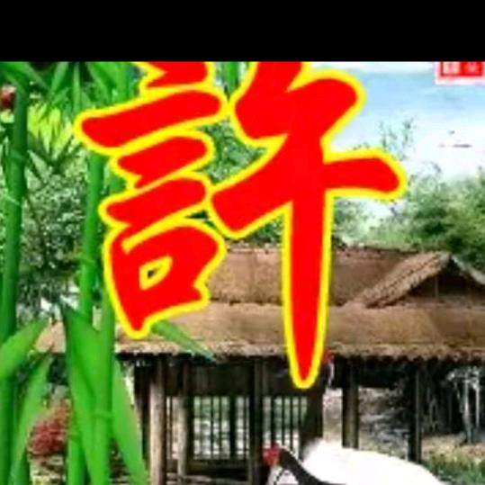 许氏家族!!靓靓哥