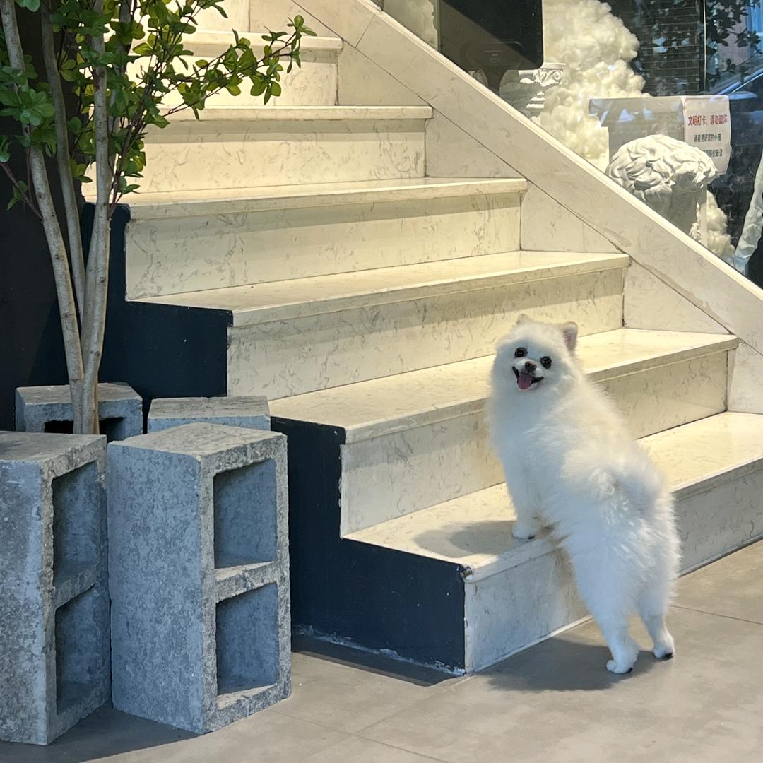 爱笑的米莱