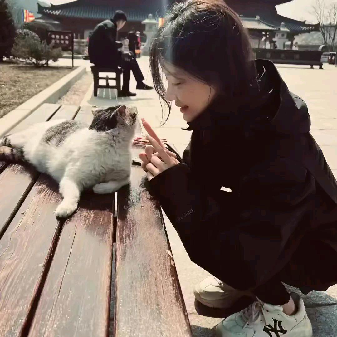 梦梦