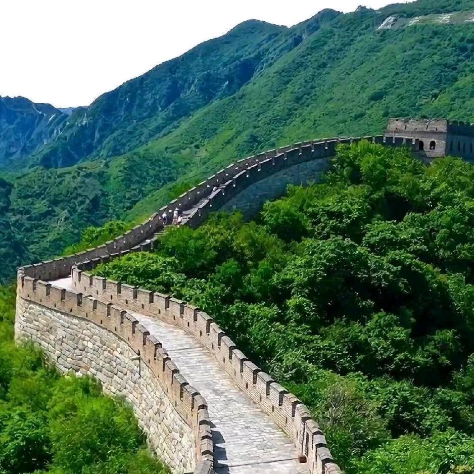 快乐在线