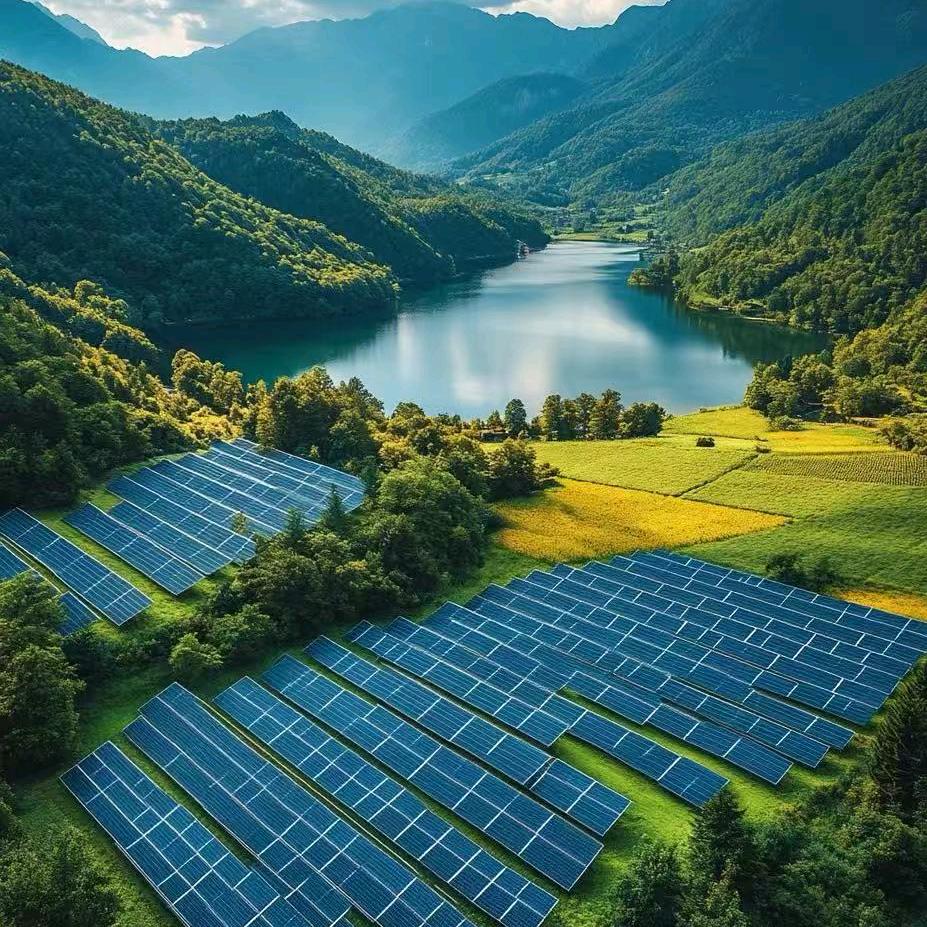 外企光伏资方董哥