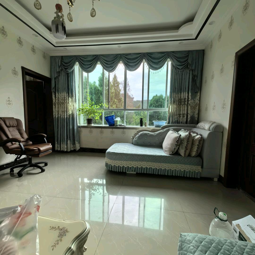 杨穿三叶