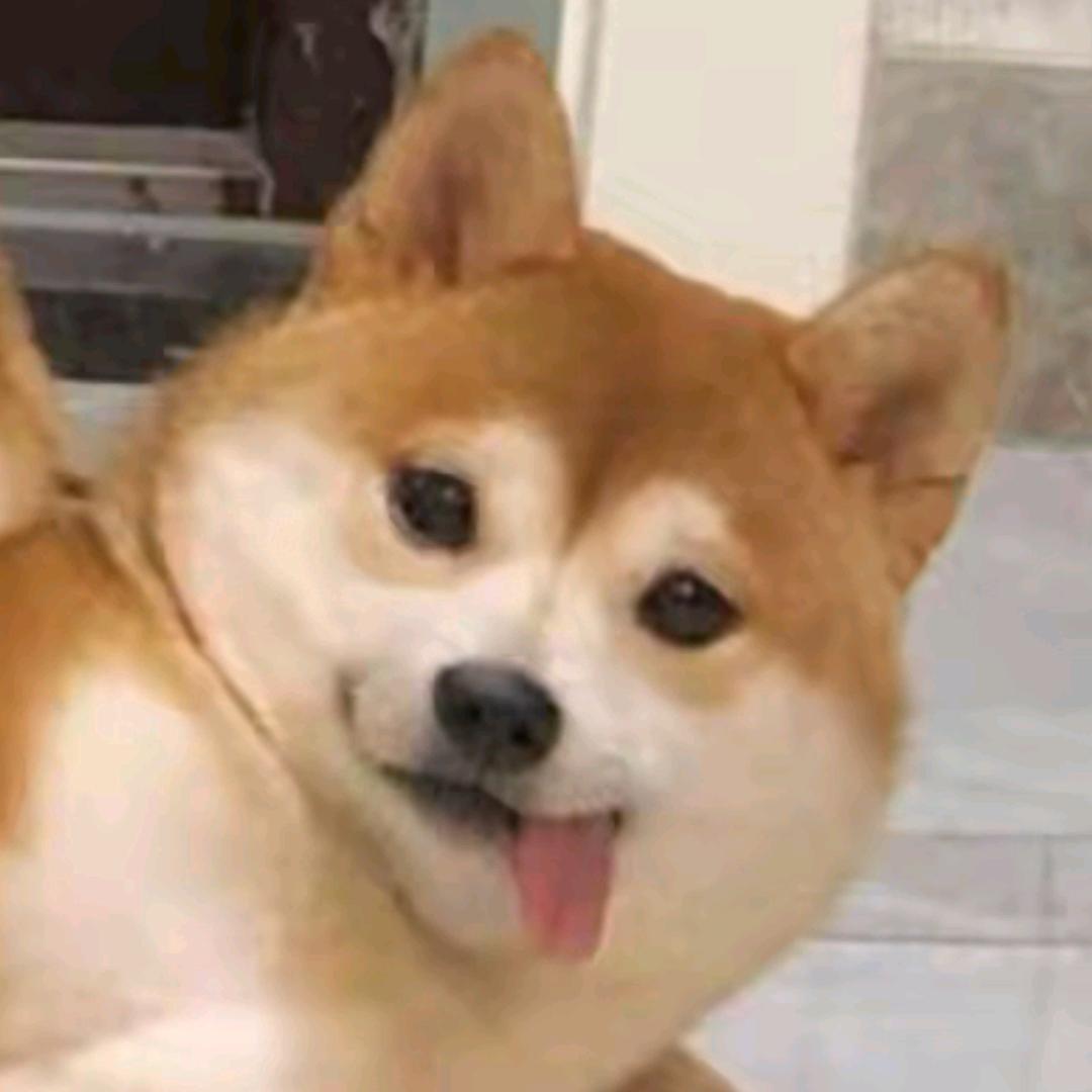 黑米评测