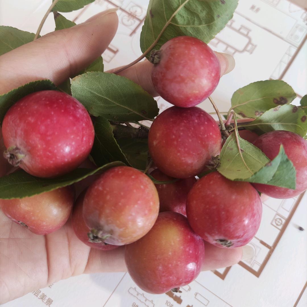 魏县房屋🏠买/卖