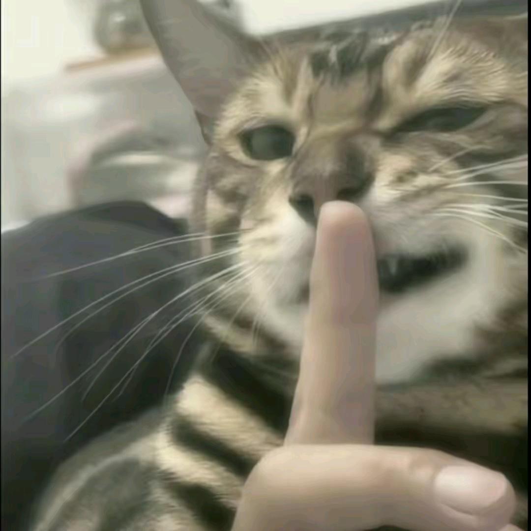 笙箫落