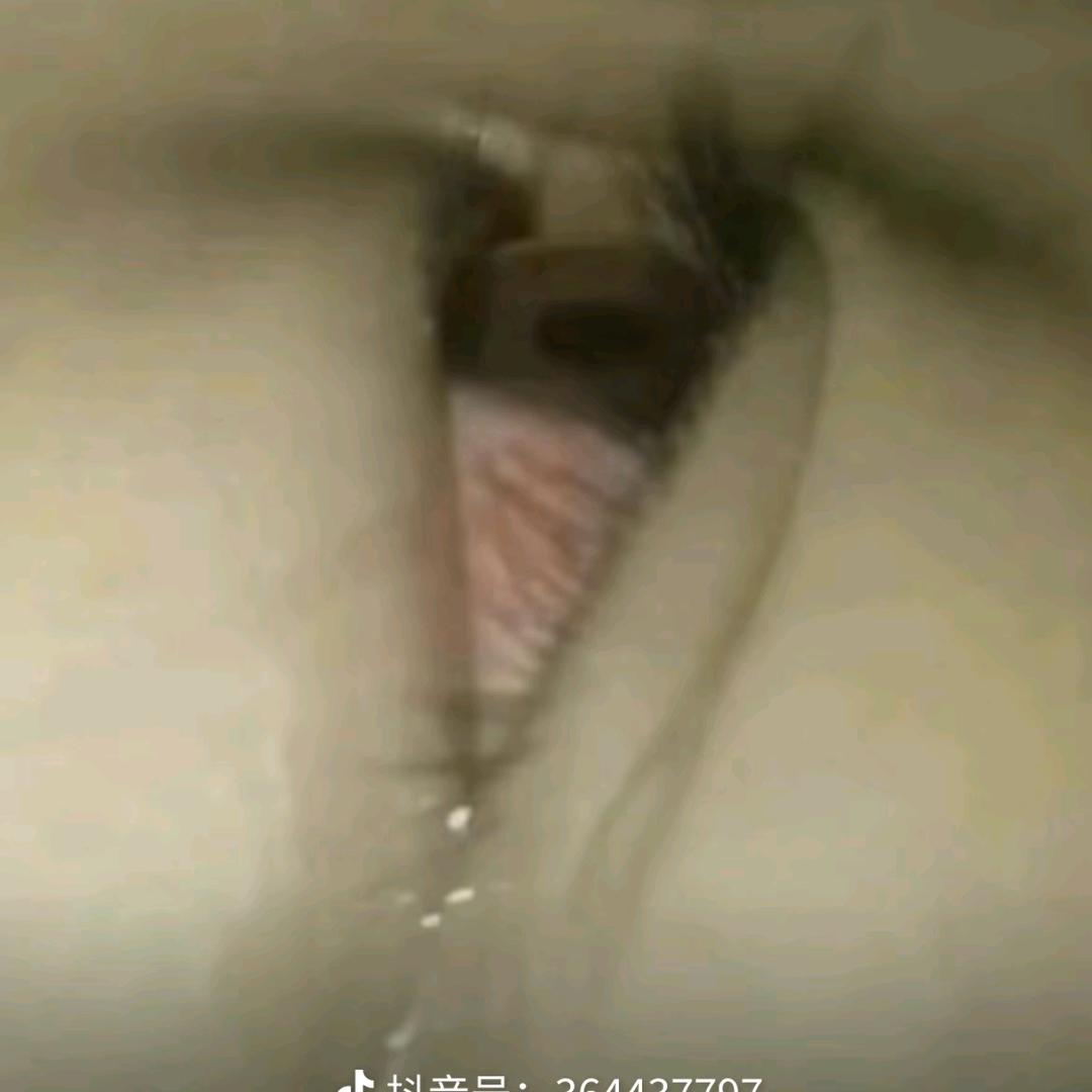 电子 职业诈骗学校学生