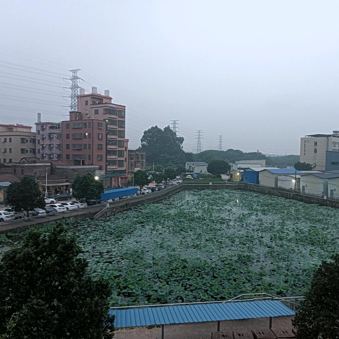 爱你无需理由