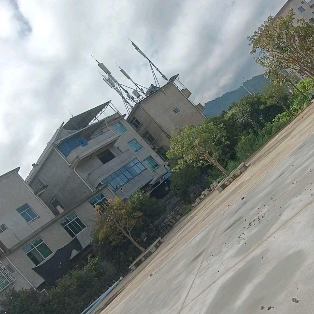 富友-林夕