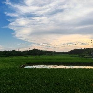 日落西山不予海