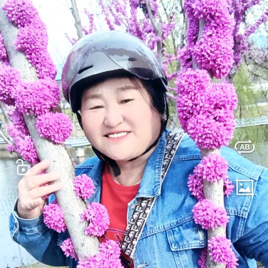 壶口大姐