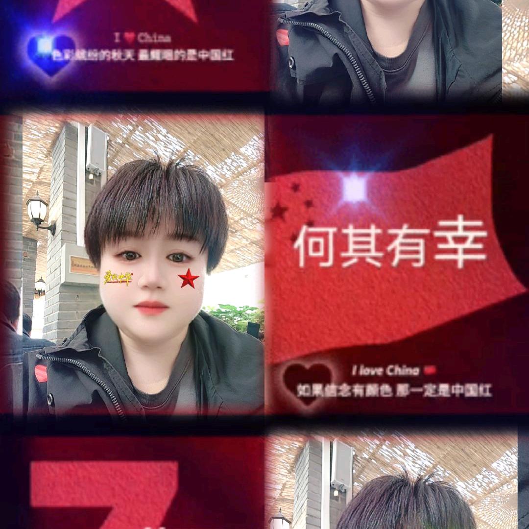 海灵鸟