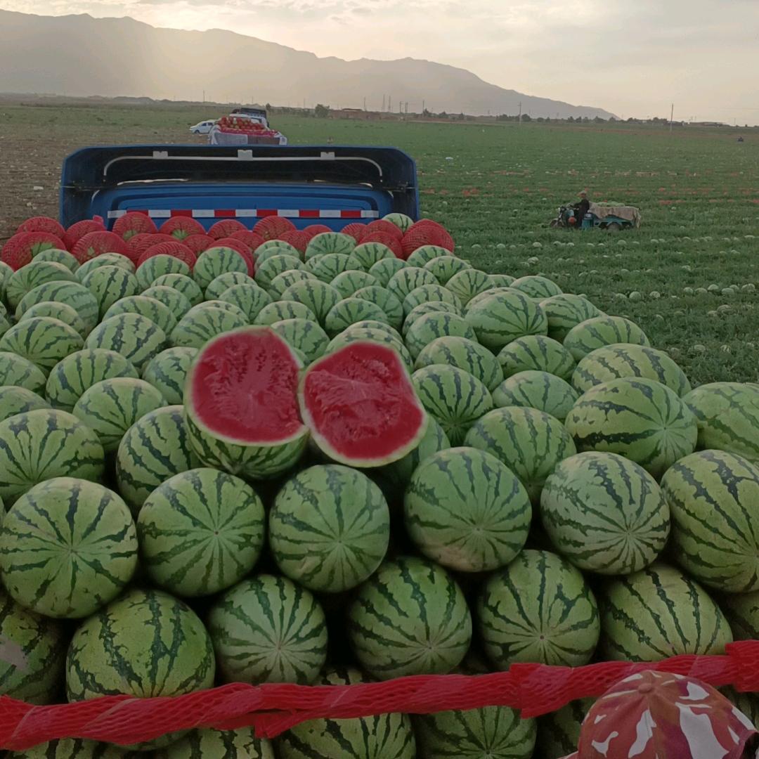 二妮新疆西瓜