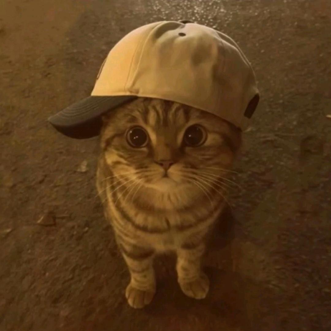 来根烤肠⁷⁷⁸.