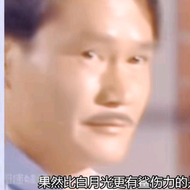 双月丹曦