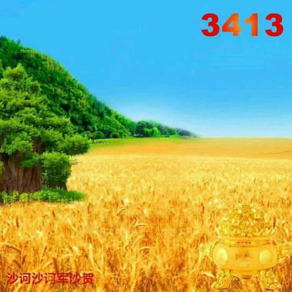 挽贤4931