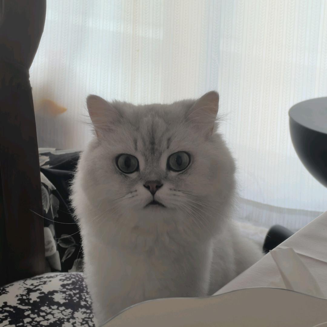 墨铉