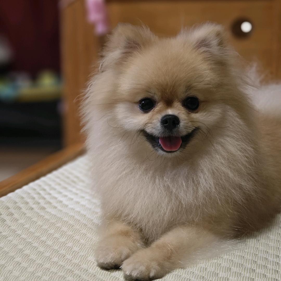爱吾吾爱