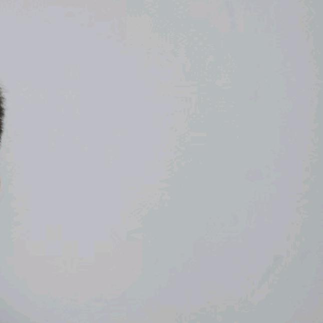 。。。，。