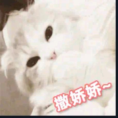 💘爱的供养💞💘