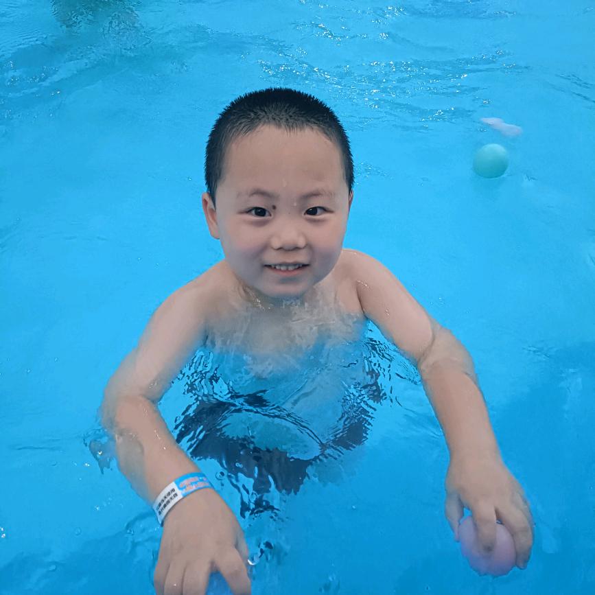 纯色玫瑰