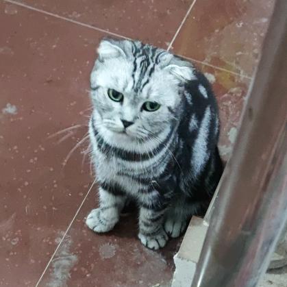 三点水