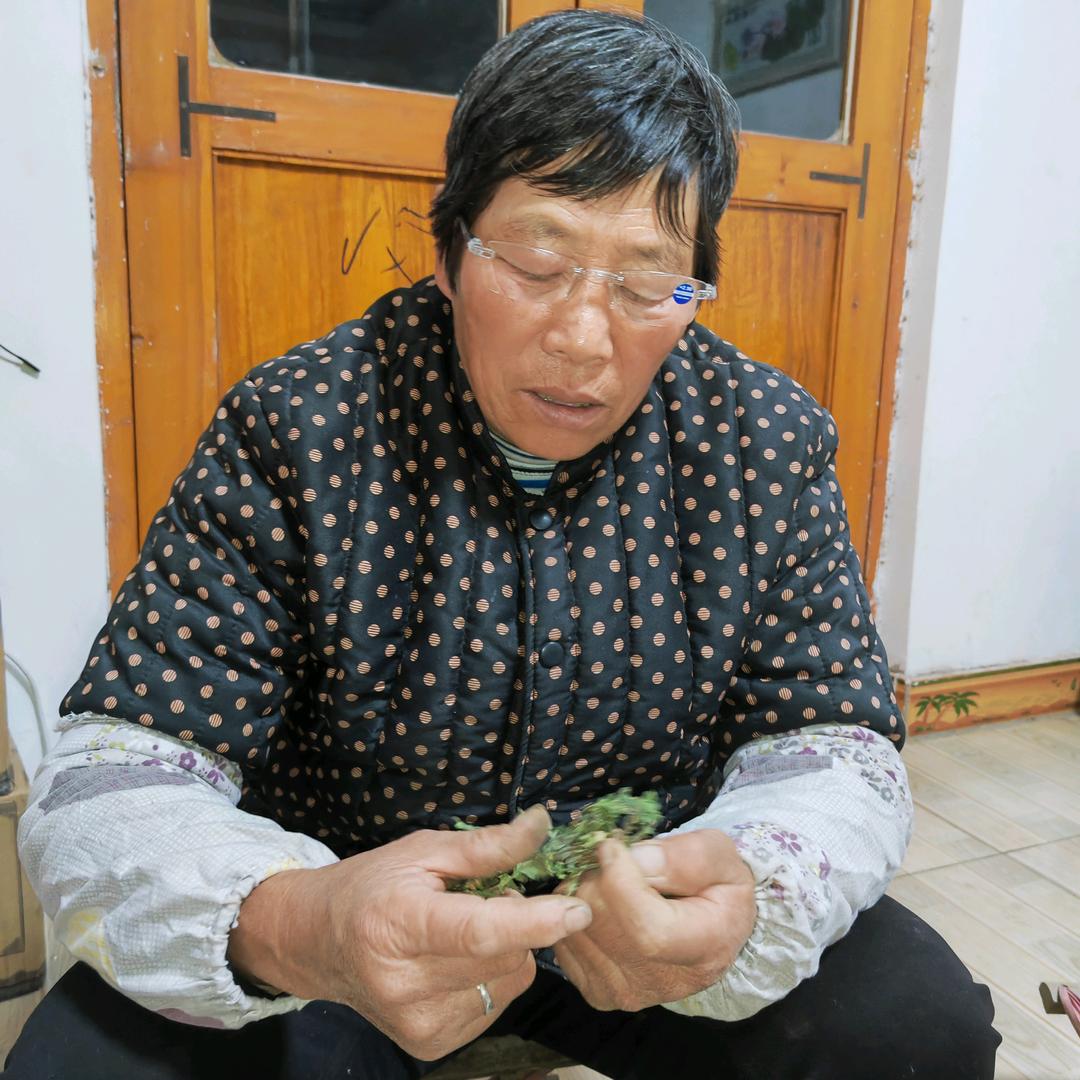 农村三姐