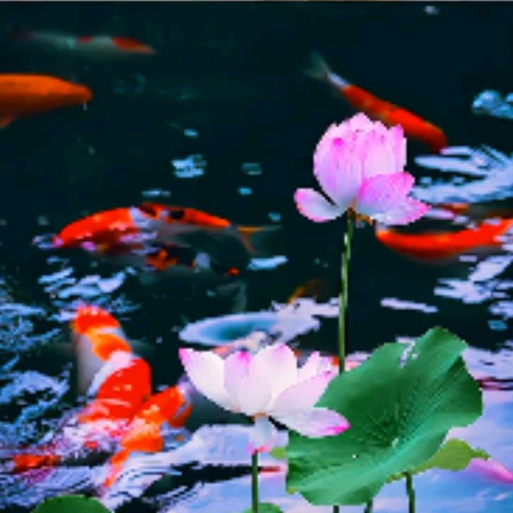 佳话