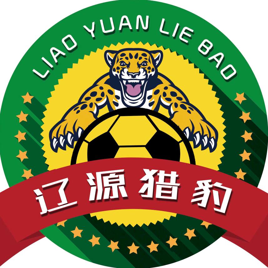 辽源青少年足球训练营