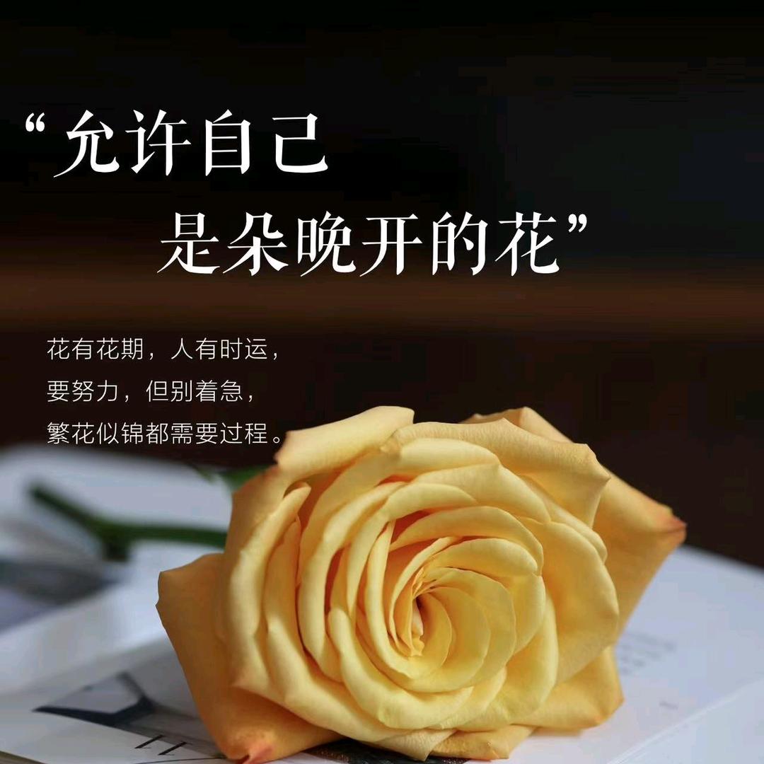 时来运转